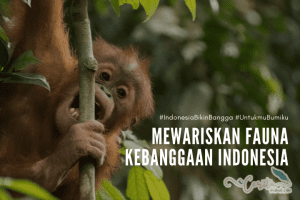 menjaga dan melindungi fauna indonesia